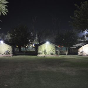 camping-in-night